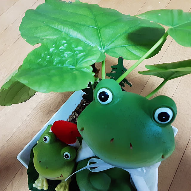 katさんの実例写真