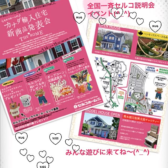 実例写真