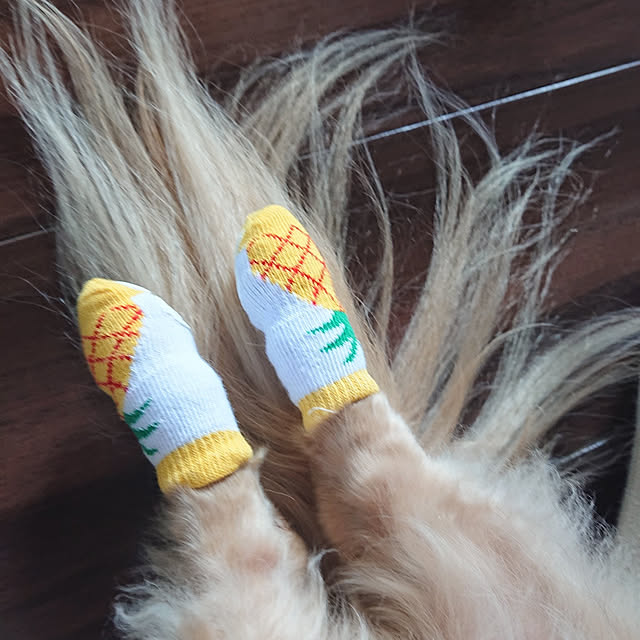cocosorasakuさんの実例写真