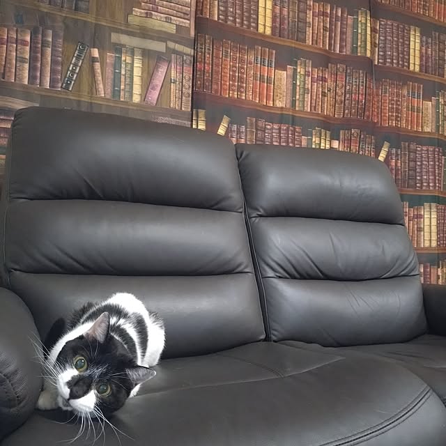 NOAHさんの実例写真