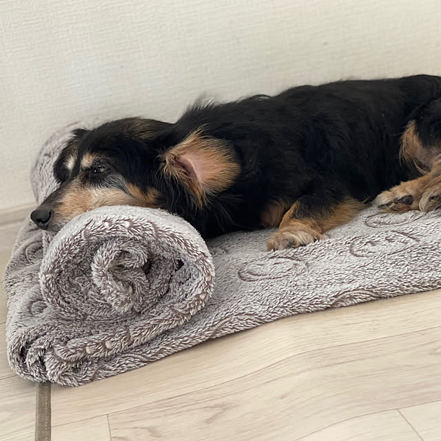 ohanaさんの部屋