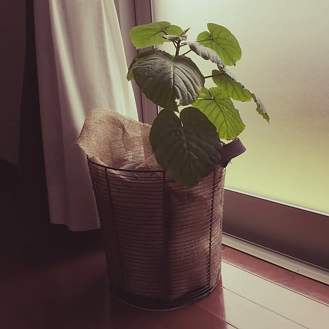 yuritoさんの実例写真