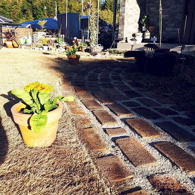 pumpkin11さんの実例写真