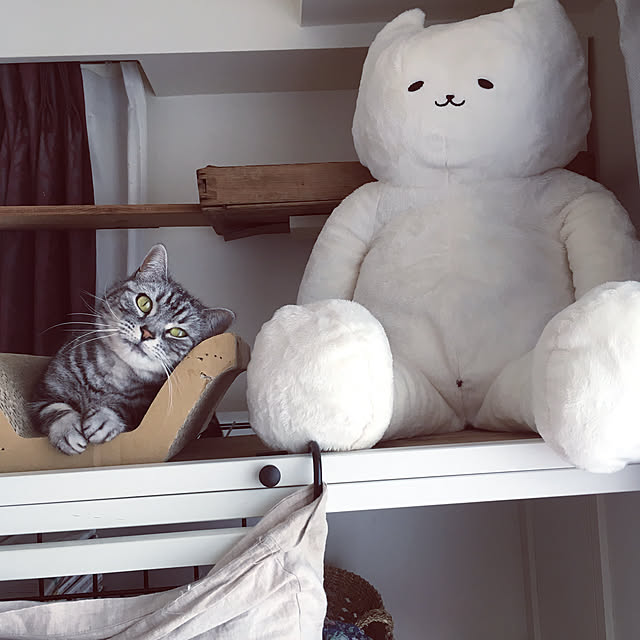 mikomaruさんの実例写真