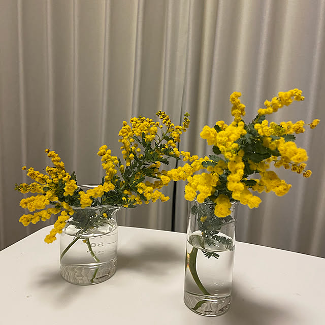 naoさんの実例写真