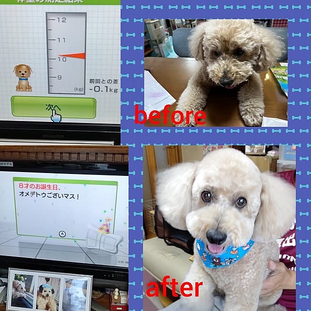yumirinさんの実例写真