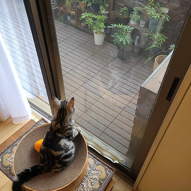 lovepeaceさんの実例写真