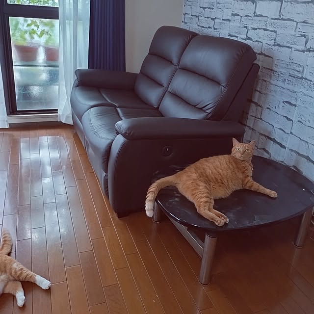 NOAHさんの部屋