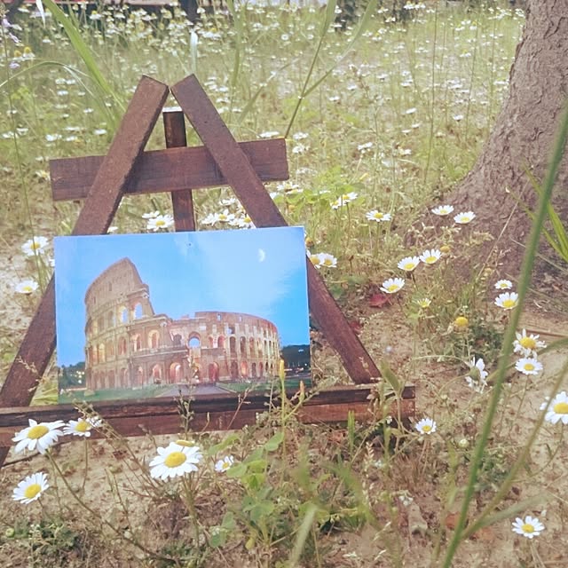 panさんの実例写真