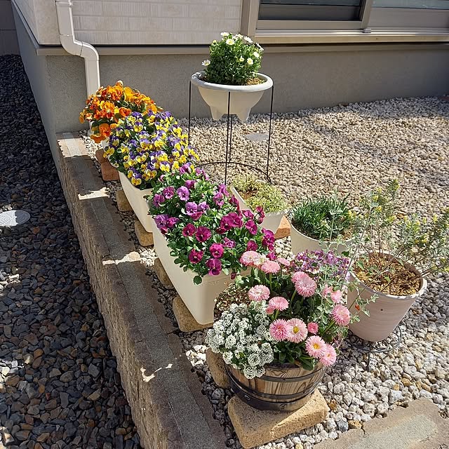 玄関/入り口/花のある暮らし/建て売り住宅/建売/寄せ植え...などのインテリア実例 - 2025-04-02 11:13:35