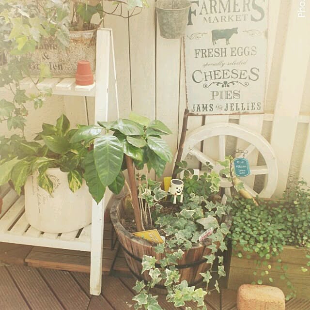 chiさんの実例写真