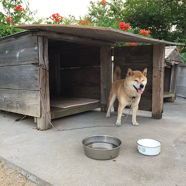 hDAさんの実例写真