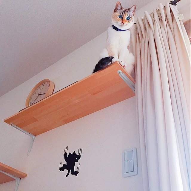 nanaさんの実例写真
