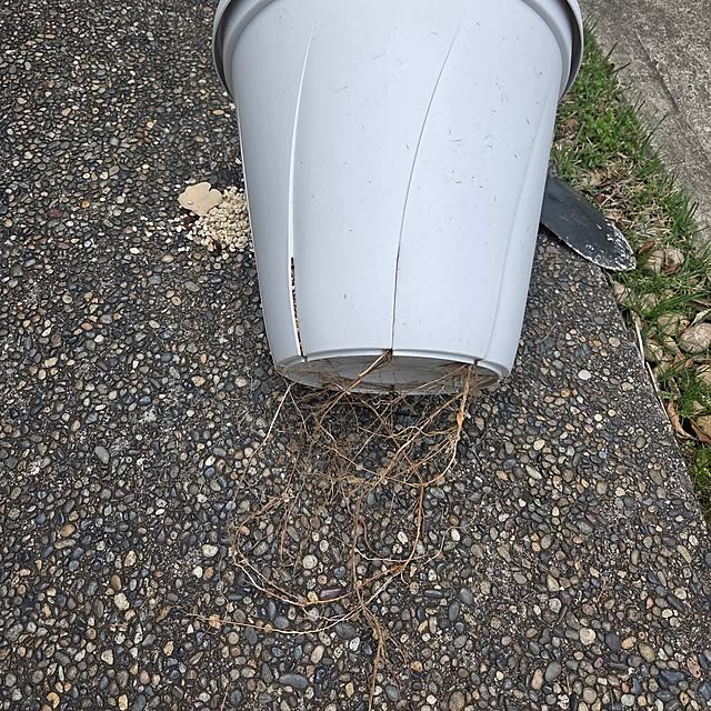 MARIE.color.interiorさんの部屋