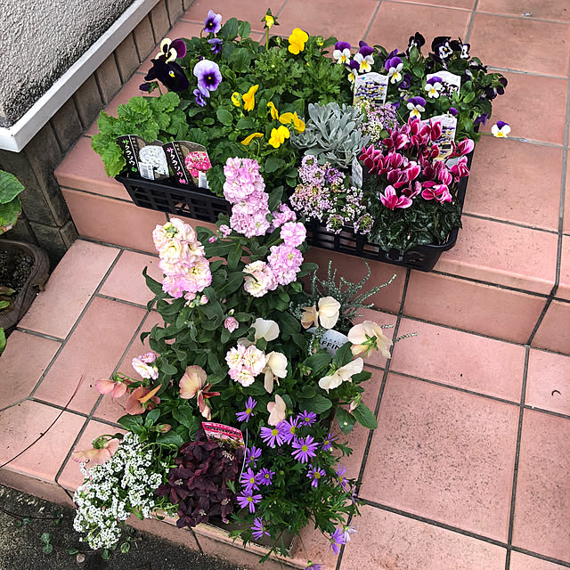 fumikoiさんの部屋
