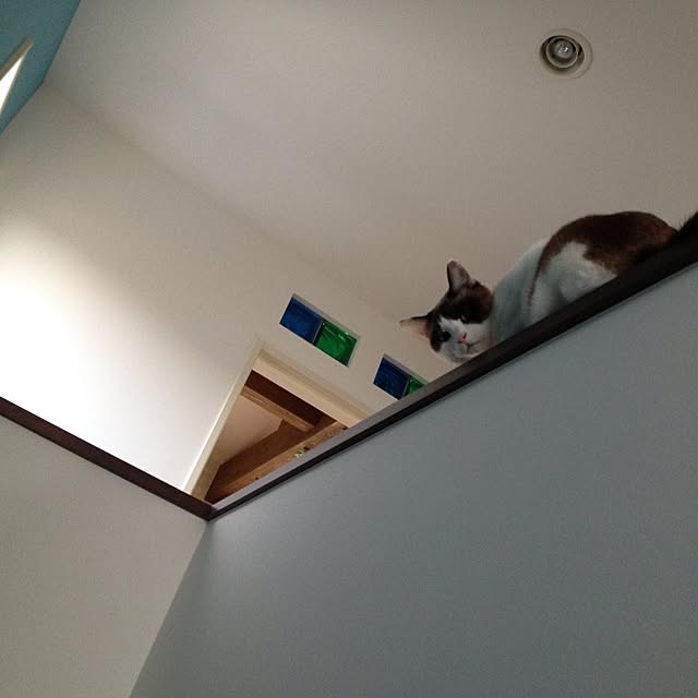 becteさんの実例写真
