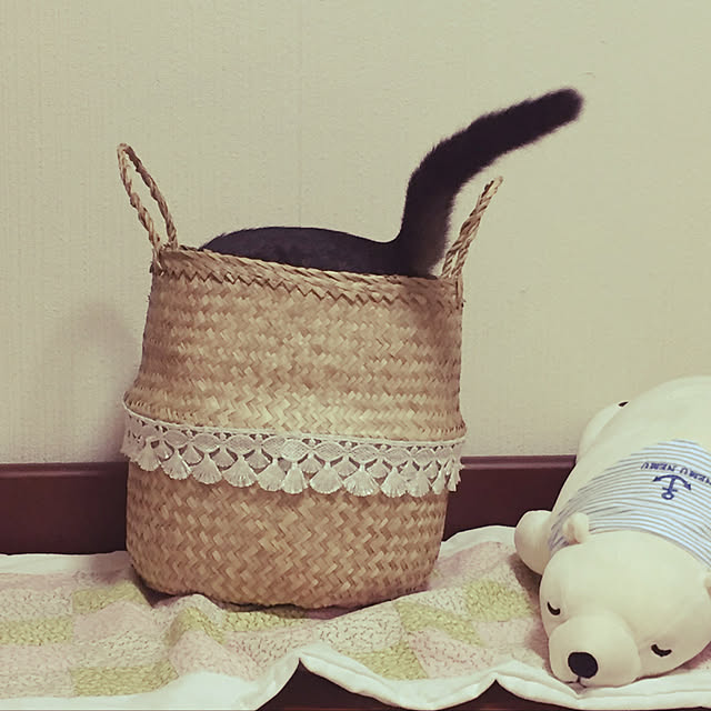 momocchiさんの実例写真