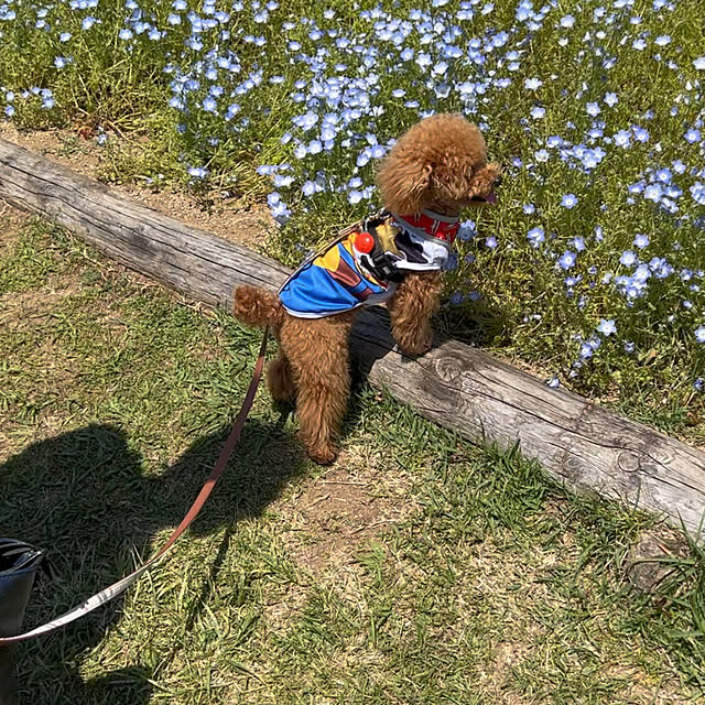 makiさんの実例写真