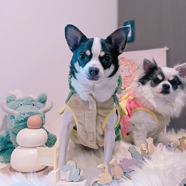 bjhorusさんの実例写真
