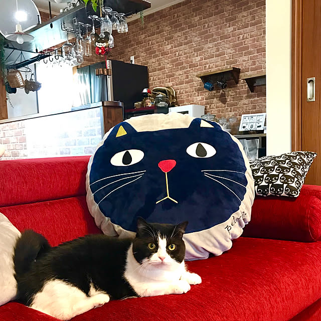 butachanさんの実例写真
