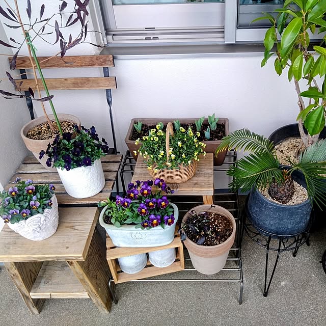 Petit_Pommierさんの部屋