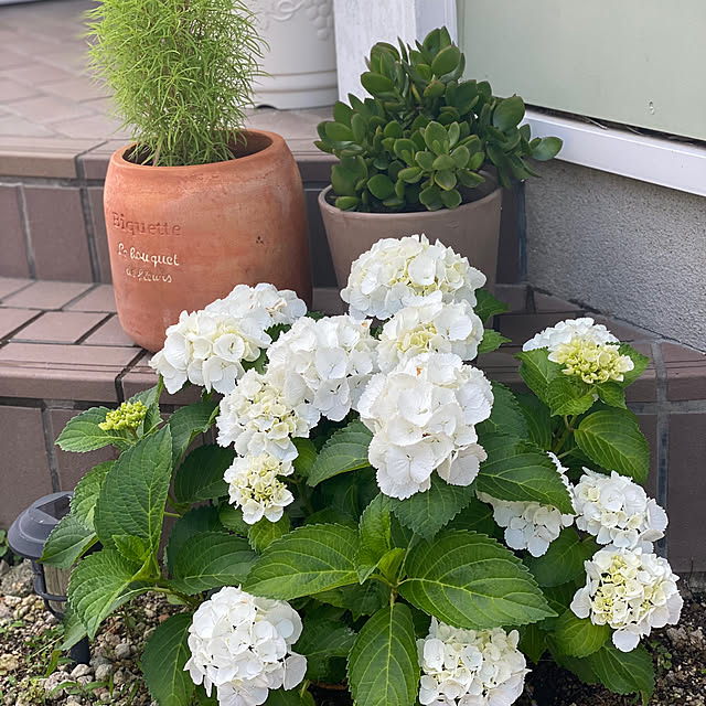 pontaさんの部屋