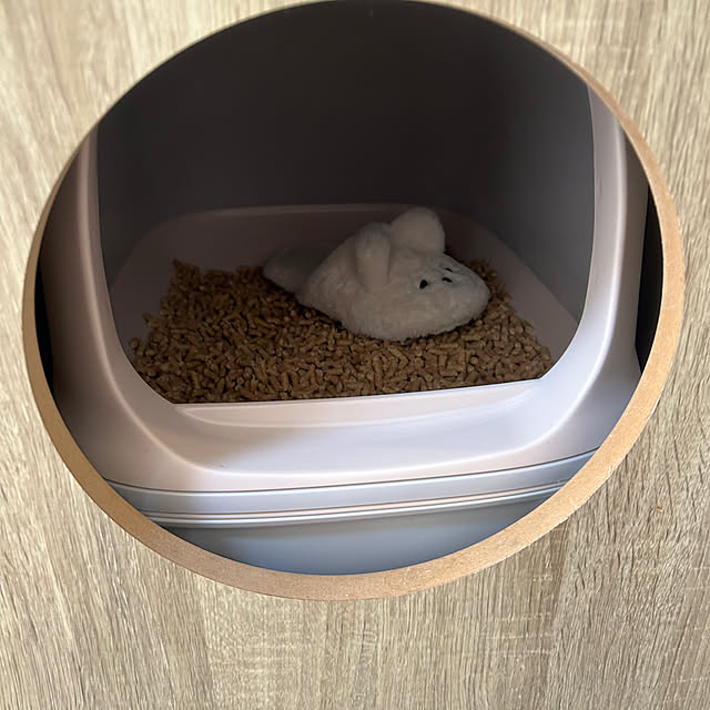 punさんの実例写真