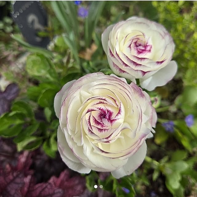 min_nimさんの部屋