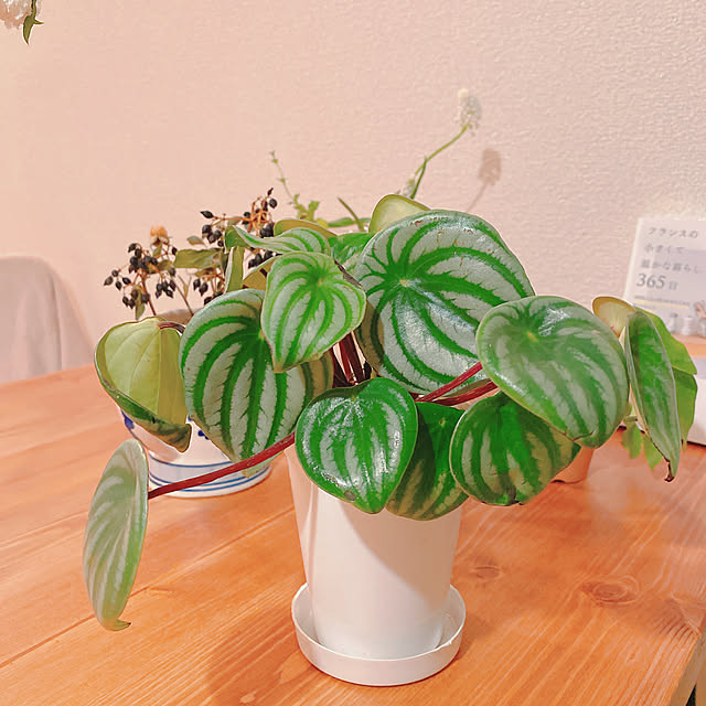 smallroomさんの実例写真