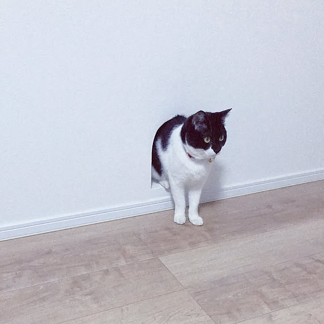 Yさんの部屋