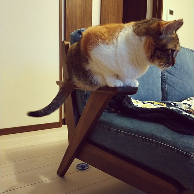 nnk.akさんの実例写真