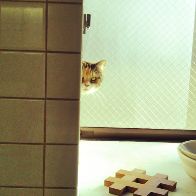 yukieさんの実例写真