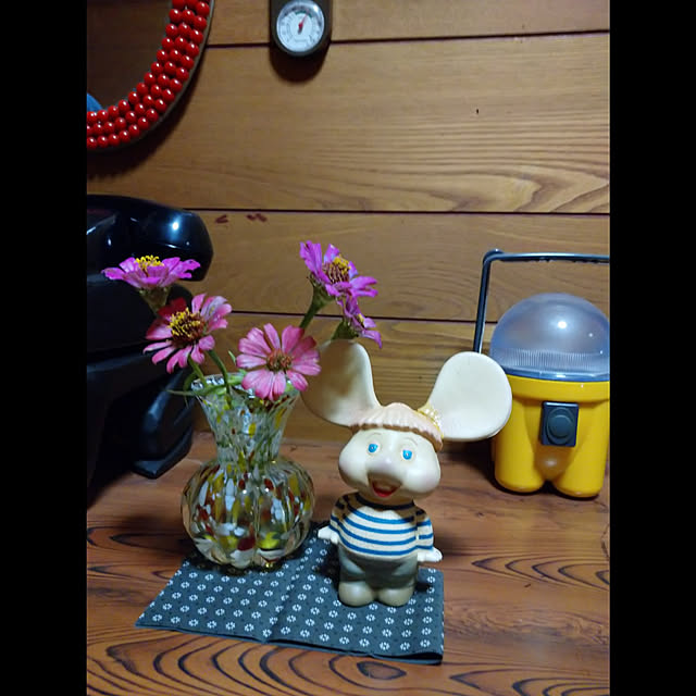 kougaitaさんの実例写真