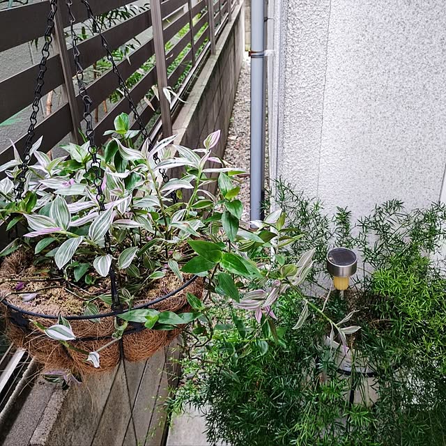jinさんの部屋