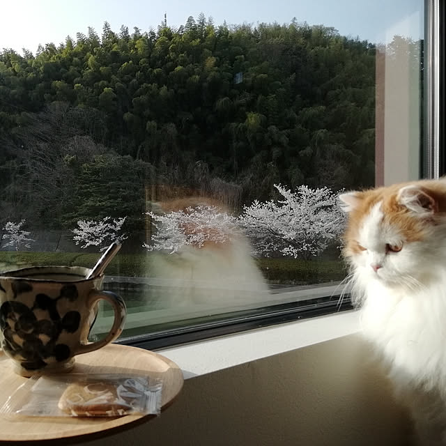1ldksさんの実例写真