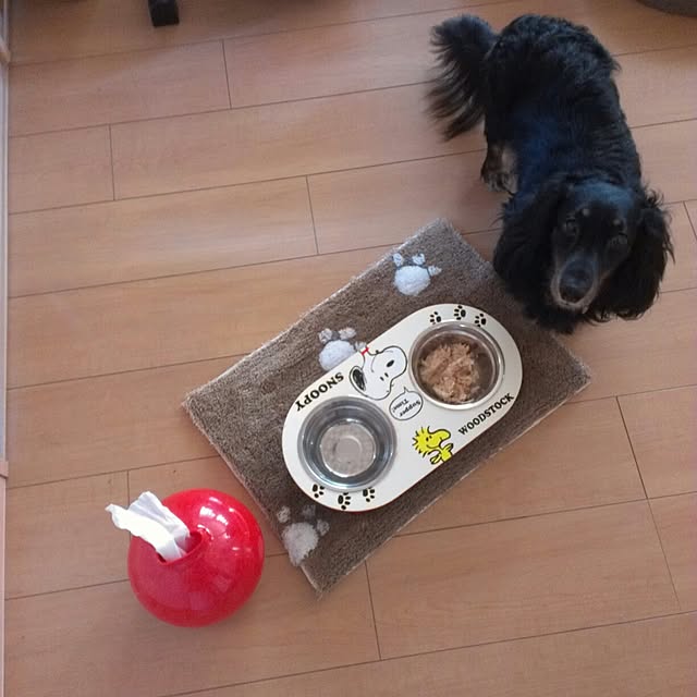 marorinさんの実例写真