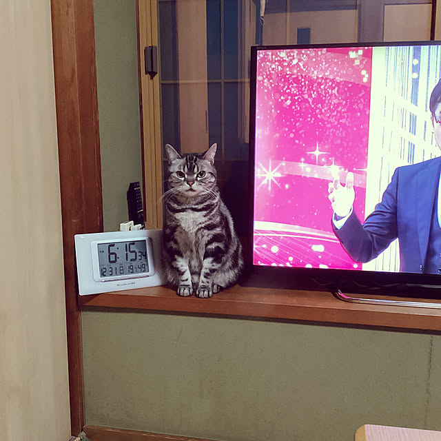 richanさんの実例写真