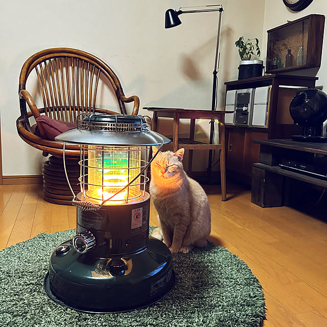 mikan161さんの実例写真