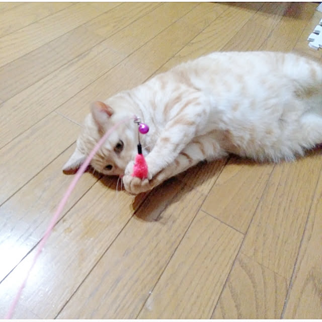 heart.emiemi57.whiteさんの実例写真