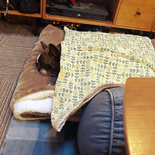 pecoさんの実例写真
