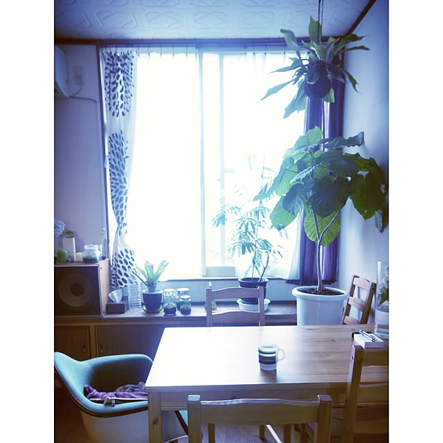 STKさんの実例写真