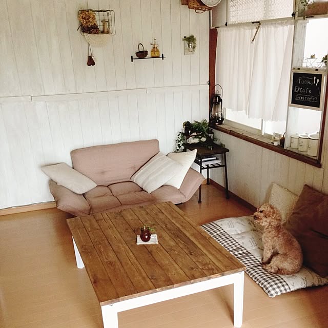 DailyRoomclip