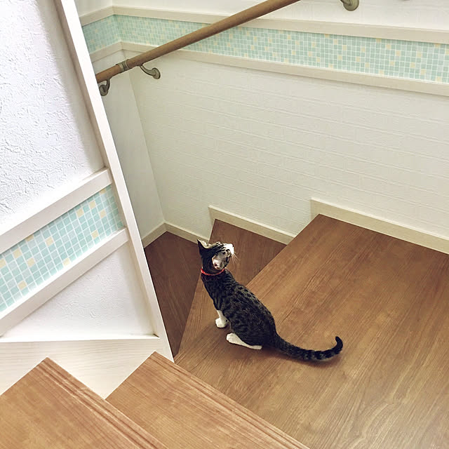 ippu0303Karinさんの実例写真