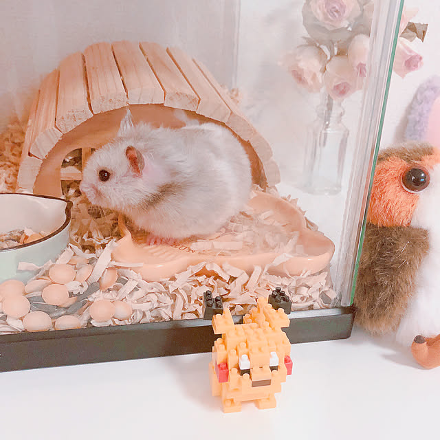 aymrさんの実例写真