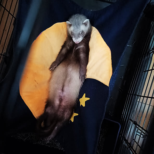chokocreamさんの実例写真