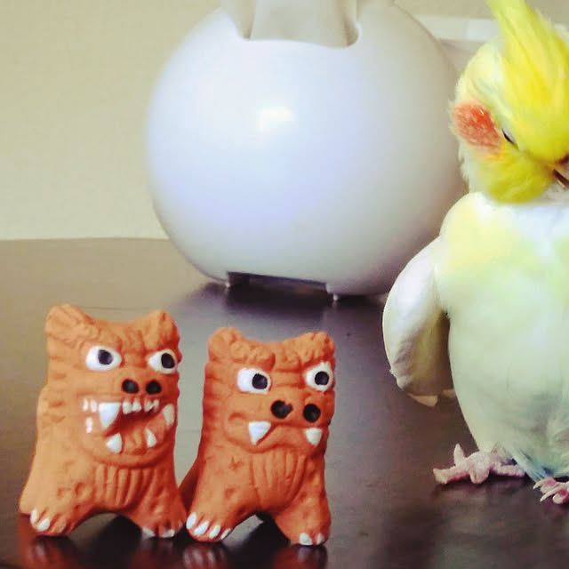 toratanさんの実例写真