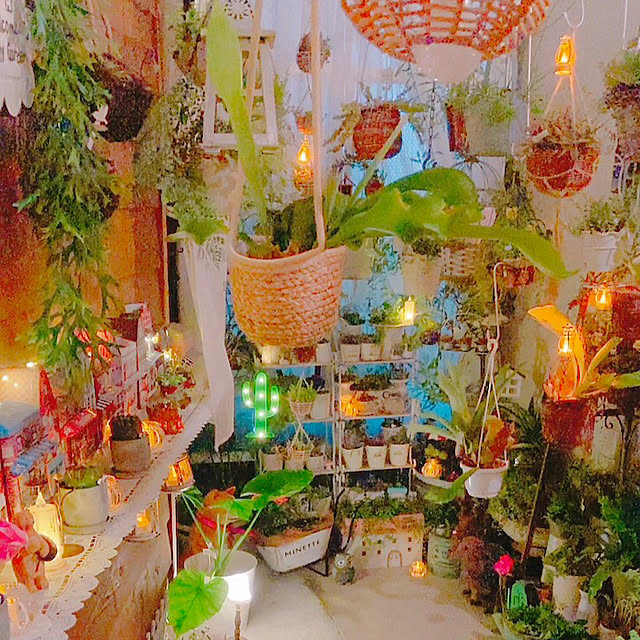 ライトアップ/サボテンのある暮らし/わが家の好きな風景/グリーン/ガーデニング...などのインテリア実例 - 2024-05-07 22:18:21