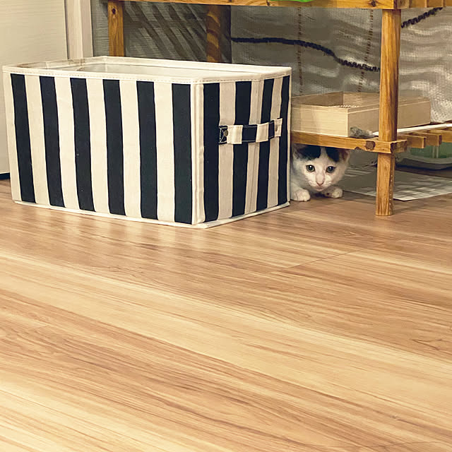 wakooさんの実例写真