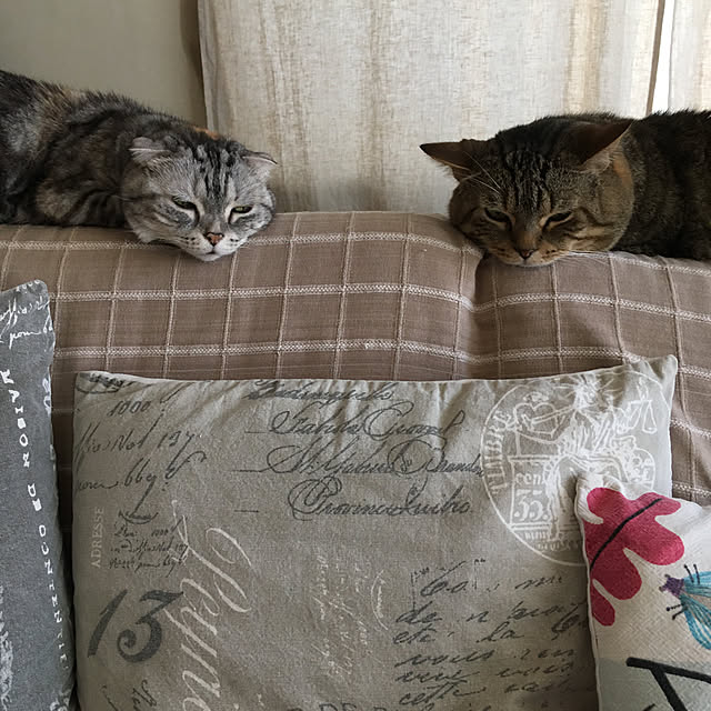 kuuさんの実例写真