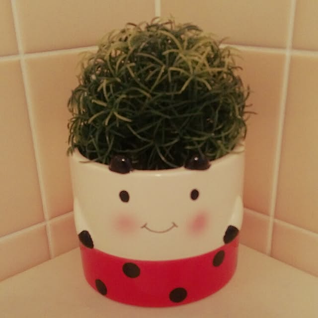 chayさんの実例写真